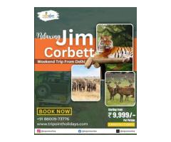 Explore Nature & Wildlife with the Best Jim Corbett Tour Package