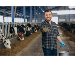 Bulk Animal Feeds Owego for Farms and Livestock