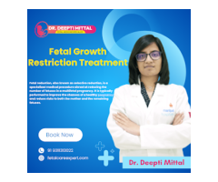 Dr. Deepti Mittal - High-Risk Pregnancy Specialist Gynecologist Fetal Medicine Specialist - 7