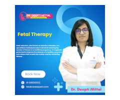 Dr. Deepti Mittal - High-Risk Pregnancy Specialist Gynecologist Fetal Medicine Specialist - 9