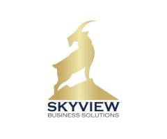 Healthcare Billing Agency in Noblesville Skyview Business Solutions