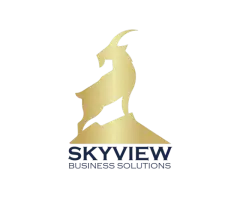 Healthcare Billing Agency in Noblesville Skyview Business Solutions