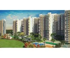 Sikka Karnam Greens Resale