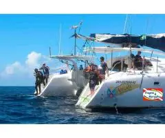 Liveaboard Arquip lago de Abrolhos Ba.