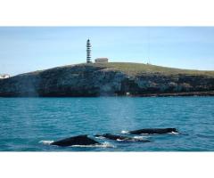 Liveaboard Arquip lago de Abrolhos Ba. - 4