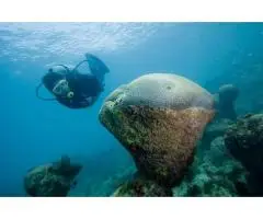 Liveaboard Arquip lago de Abrolhos Ba. - 9