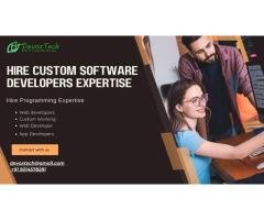 Hire Custom Software Developers Expertise