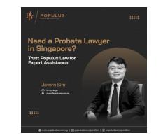 Probate Lawyer Fees Singapore Understanding Transparent Legal Costs - 2