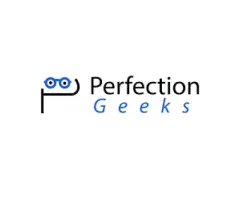 Custom App Development Services - PerfectionGeeks