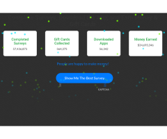 Bigsurveybigcash - 2