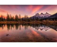 Looking for the best platform to explore and stream Hindi movies