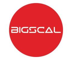 Bigscal The Ultimate Software Development Company
