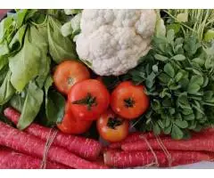 Who is the Vegetable Supplier in Gurgaon