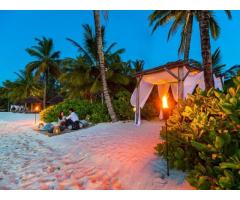 Tanzania Honeymoon Safari