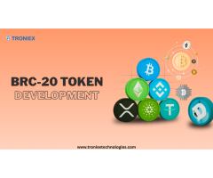Affordable BRC20 Token Development for New Entrepreneurs