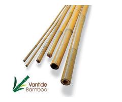 Bamboo Canes - Vantidebamboo