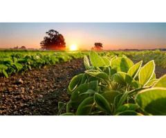 Organic Fertilizer Distributors