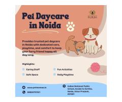 Trusted Pet Daycare in Noida Pet Me Maa