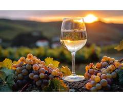 Vasanti Estate Winery - 3