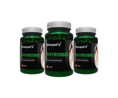 Top Ayurvedic Brands Offering Thyroid Medicine in India - 2