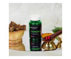 Top Ayurvedic Brands Offering Thyroid Medicine in India - 3