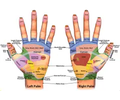 Sujok acupressure doctor in ahmedabad