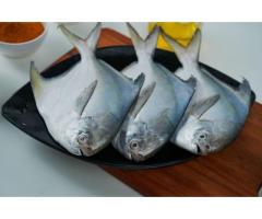 FRESH HOOK FISH CORNER