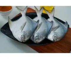 FRESH HOOK FISH CORNER