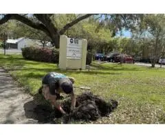 Precision Watering for Kissimmee Lawns - 8