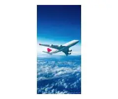 Affordable Flights with Flighta -