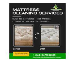 Reliable Mattress Cleaner in Logan Local Carpet Cleaning Professionals