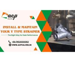 Acp Valves Premium Y Type Strainer for Industrial & Plumbing Systems