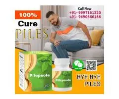 Pilepsole Capsules Natural Herbal Support for Piles Relief