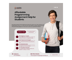 Affordable Programming Assignment Help for Students