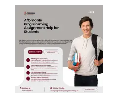 Affordable Programming Assignment Help for Students