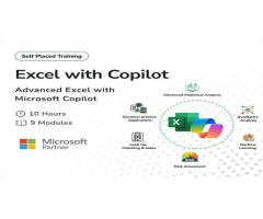 Microsoft Copilot with Excel for Applied Data Analysis Self-Paced Training