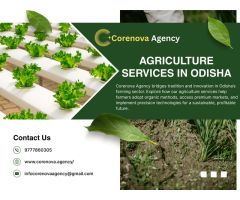 Modern Farming Technology & Organic Support CoreNova Agency