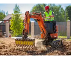 Tree Service Miami - Miamitreecrew - 2