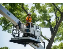 Tree Service Miami - Miamitreecrew - 9