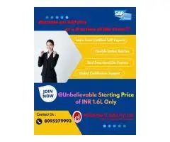 Looking to elevate your career in the world of SAP