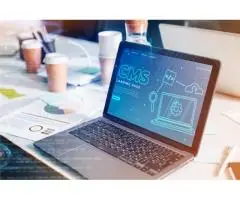 Wordpress Web Development Agency