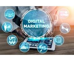 Blink N Boost - Digital Marketing Company in Mohali