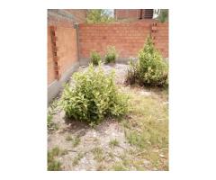 Venta de terreno en Avircato , Urbanizaci n Villa Linda - 3