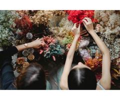 Chritmas Flowers Naturally Elegant &amp Made to Last Free Gift Offer