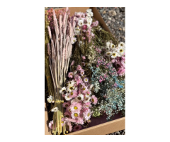 Chritmas Flowers Naturally Elegant &amp Made to Last Free Gift Offer - 3