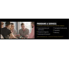 The Council On Compulsive Gambling of New Jersey - 2