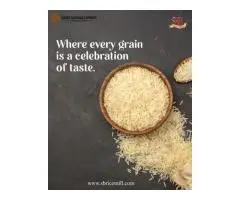 Explore the Top 10 Basmati Rice Exporters in India - Shree Krishna Exports
