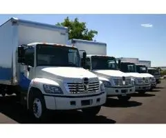 Experienced Moving Company in North Vancouver Choose Bold Mile - 3