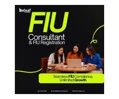 Top-Rated FIU Consultant Services That Keep You Safe, Secure, and Audit-Ready