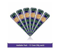 Best Place to Buy Kaveri Mehendi Cone Online Quick Delivery